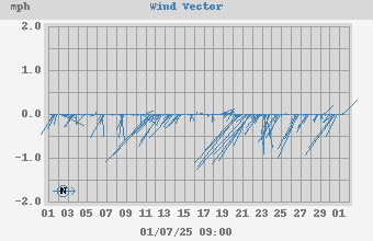 Wind Vector